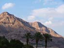 Ein Gedi Palms And Mounts